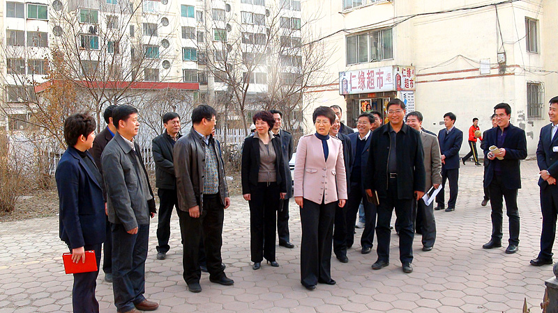 市委书记王桂芬